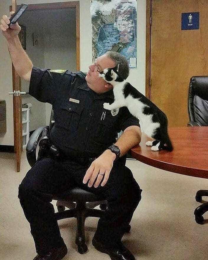 ClicktobuyStore's tweet image. Sold by @AVAShopinUSA design

LINK IN Below

linktr.ee/Clicktobuyonli…

cat-design-gifts-shop.myspreadshop.com

#CatTShirt #CatTShirtsForWomen #Hackercat #CatTShirtsForMen #FunnyCatShirts #printondemand #tshirt #gift #gifts #giftideas