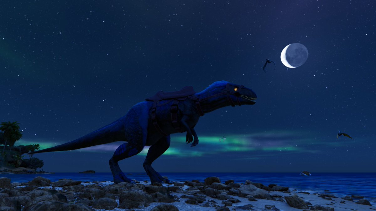 BigChungusASA's tweet photo. Day two of our photograph competition! Vote for your favorites by leaving a ❤️. Check out our discord for more details https://t.co/LxyadpSE2e https://t.co/2tWnJqLoq6