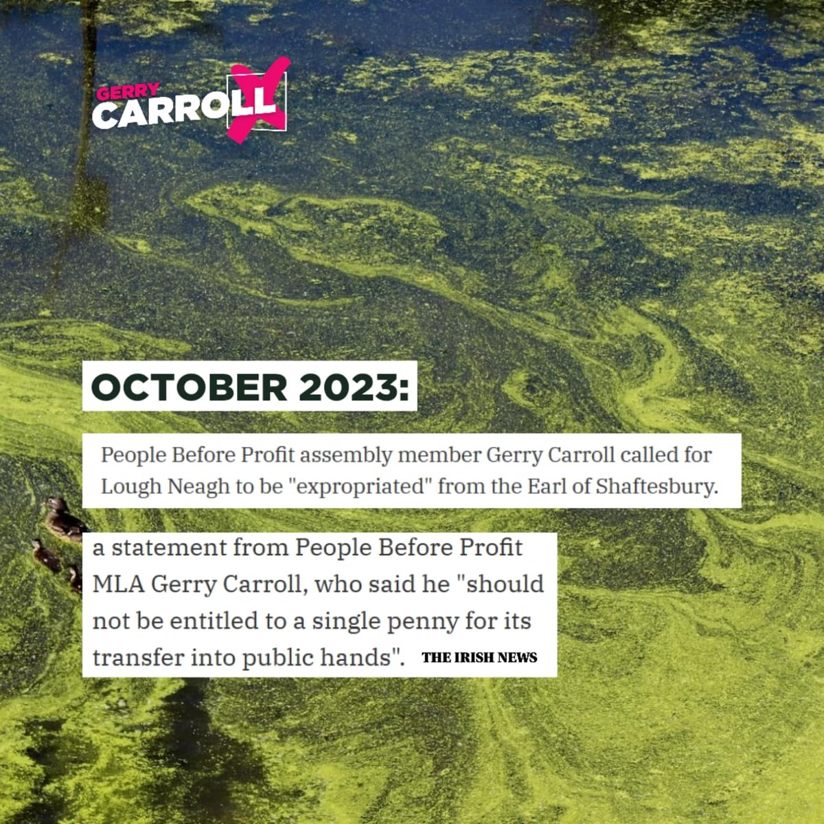 GerryCarrollPBP's tweet photo. Lough Neagh- Time for Stormont to Act. https://t.co/N7jGw6sstr