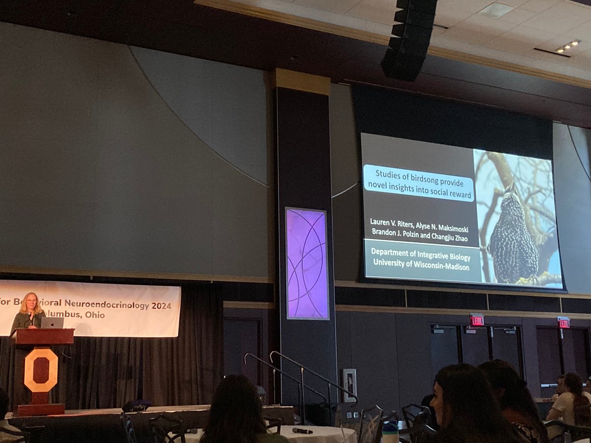 Now we have Dr. Lauren Riters on the insights gained in the role of the MPOA on nonsexual birdsong using the gregarious European starling 🐦‍⬛🐦‍⬛🧠 #SBN2024