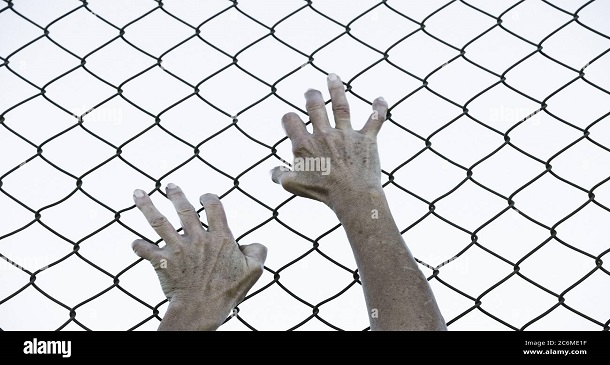 AlfredoCepero's tweet photo. LA VALLA DE LOS DESESPERADOS, Llevamos una herida de 65 años de fusilamientos, cárceles, exilio y persecuciones que nos hacen imposible la objetividad
https://t.co/F9ELbgXyaw https://t.co/hNo9IMMkRb