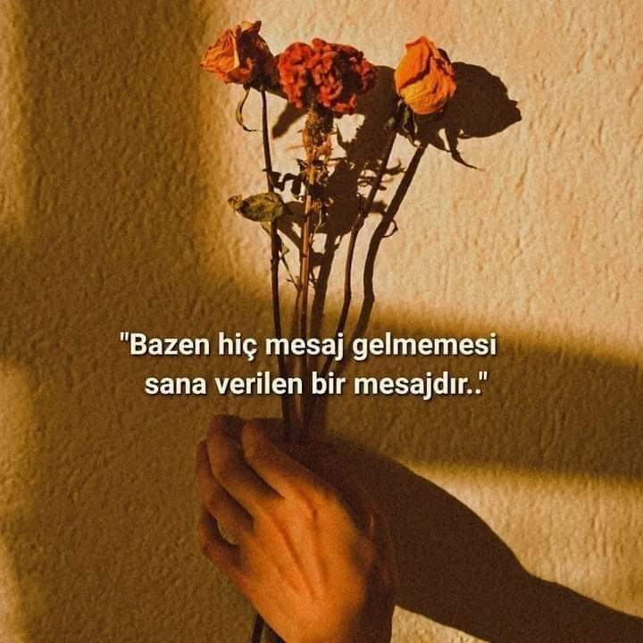 £MR£ (@_kuzeyinoglu__) on Twitter photo 