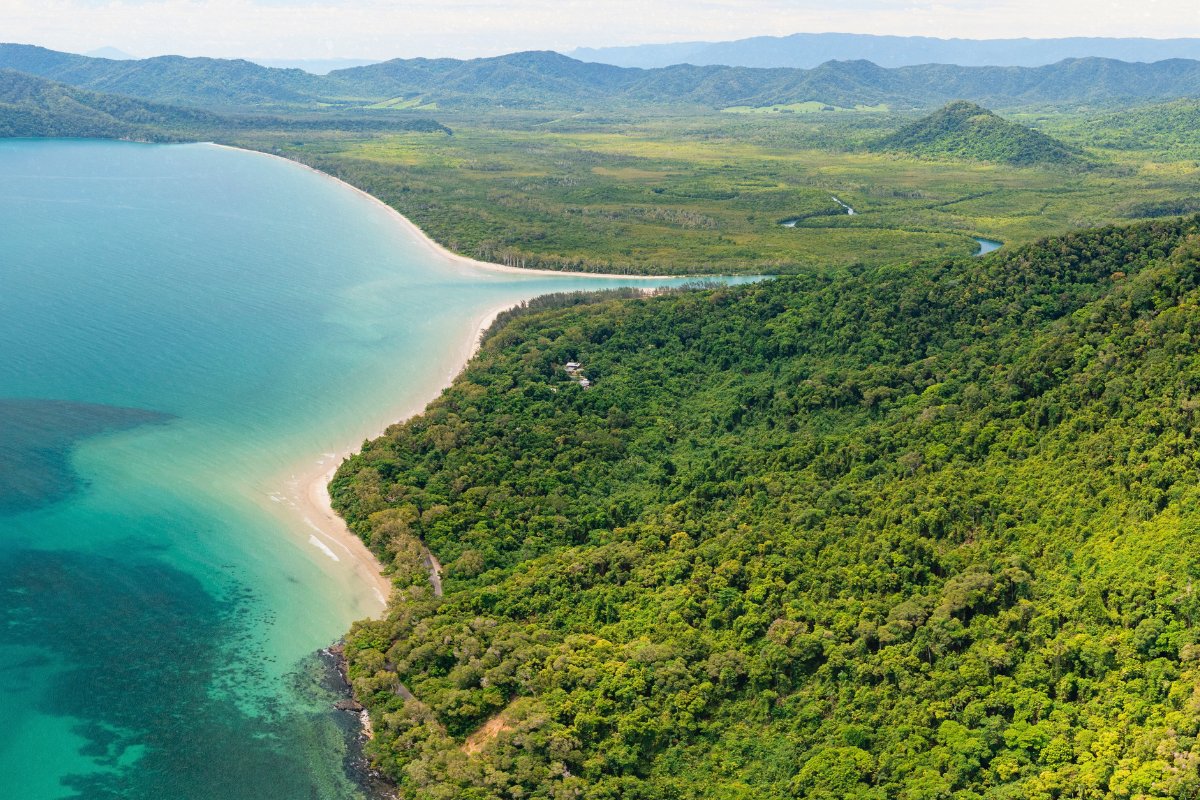 Thank you for joining us to celebrate the progress made #forRainforests and the organizations, individuals, and communities driving that work. 

Happy #WorldRainforestDay.