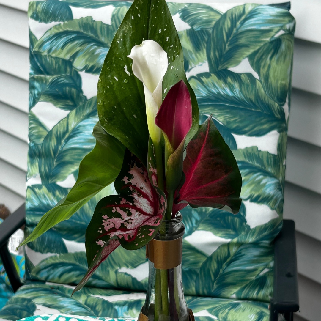 GardenStateBulb's tweet photo. What's the most unusual plant you've included in a bouquet? 💐
.
#GardenStateBulb #Bouquet #Caladium #CallaLily #ElephantEarPlant #Garden #GardenBouquet https://t.co/nwHZSMFDIM