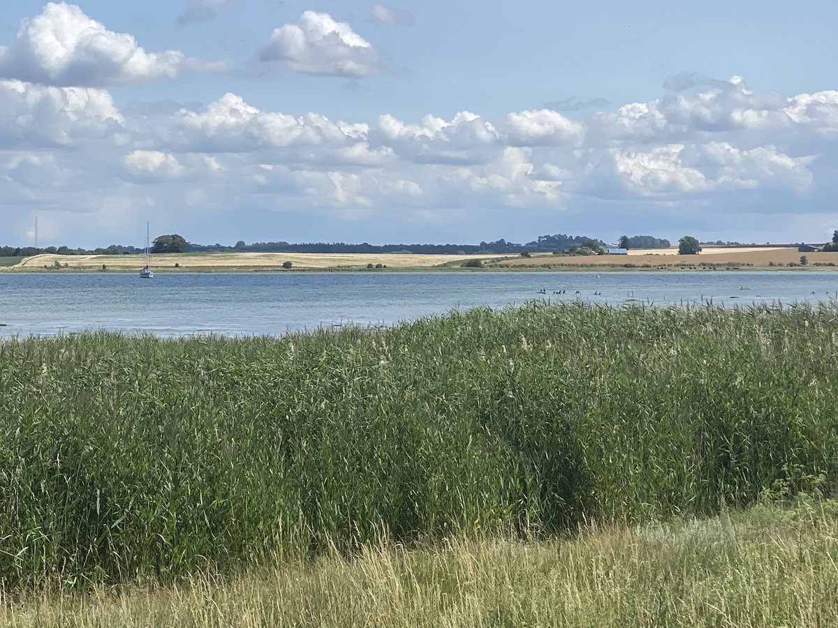 Stine Bosse / Christine (@bossestine) on Twitter photo Kæmpe tillykke til os alle med den flotte store og vigtige grønne trepartsaftale … jeg bliver virkelig stolt, når 🇩🇰 viser vejen. Nu handler det om at føre tankerne med til 🇪🇺.
Bravo herfra til álle involverede 👏🏼👏🏼
<a href="/moderaterne_dk/">Moderaterne</a> #dkpol #EP Kæmpe tillykke til os alle med den flotte store og vigtige grønne trepartsaftale … jeg bliver virkelig stolt, når 🇩🇰 viser vejen. Nu handler det om at føre tankerne med til 🇪🇺.
Bravo herfra til álle involverede 👏🏼👏🏼
<a href="/moderaterne_dk/">Moderaterne</a> #dkpol #EP