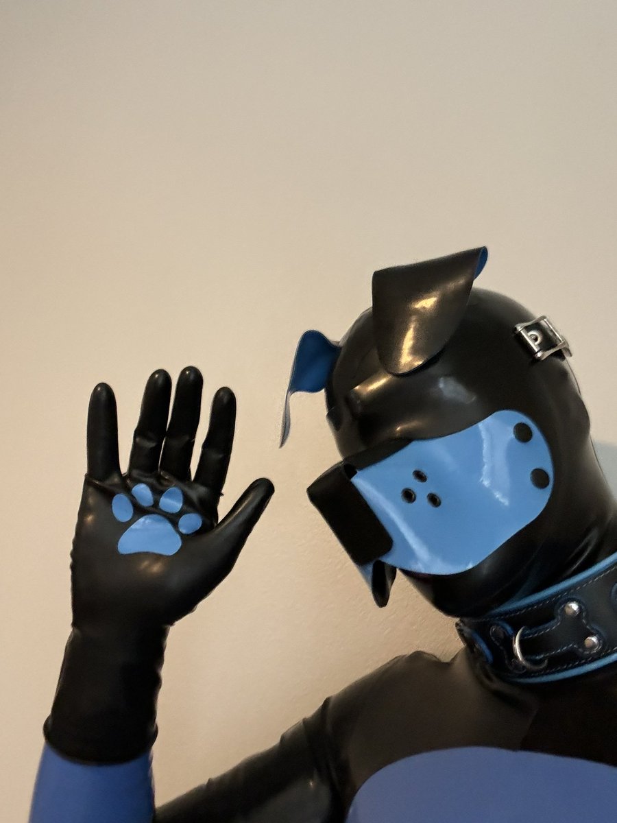 LatexMini's tweet image. Being a better pup thanks to mkl