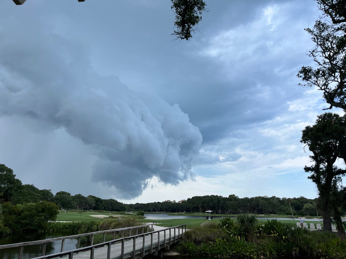 MikeFirstAlert's tweet photo. #firstalertwx from Tracy Patterson - shelf cloud on the leading edge of a thunderstorm near Fernandina Beach @ActionNewsJax @WOKVNews https://t.co/O24vtVCz1q