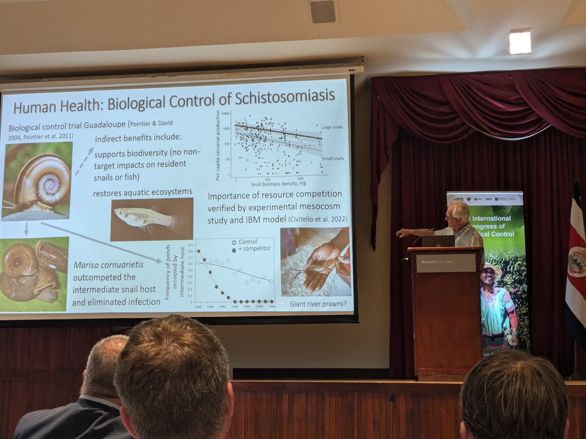 I'm at the international Congress of biological control in Costa Rica. The first talk is about one health and using competitive snails to control intermediate hosts of schistosomiasis🐌