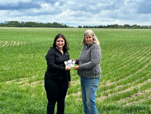 CargillAgCanada's tweet photo. If youโre a #MarketSense client & you refer a friend, you could earn great rewards! The friend you refer will also get entered in a draw to win $5,000 so itโs a win/win situation. Red Star Farms is this years winner. You could be next! https://t.co/J3SITpw8tG https://t.co/CwlsZeHbFg