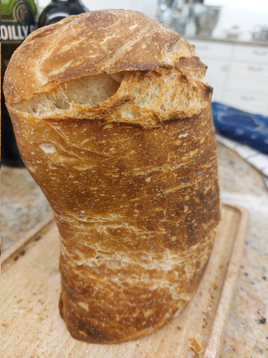 GrunzeugD's tweet photo. Wenn das Backrohr schon fürs #Brot läuft, kann man auch #Kuchen backen. Wenn man für den Kuchen schon mal #Baiser geschlagen hat, kann man auch #Amarettini machen.
#effizient #Backtag #Ribiselkuchen https://t.co/fxv7Ps9z6Q