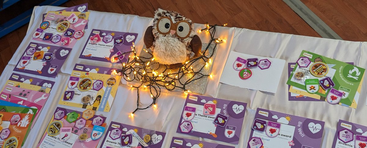 MissHHarrison's tweet photo. My favourite type of night. Presenting all my brownies with their certificates that they have worked so hard on. Well done ladies. https://t.co/7K2iwynIDQ