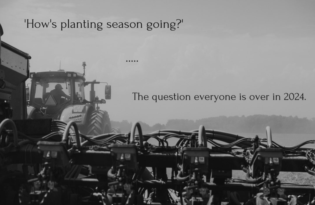 #ontag #plant24 #cndag #neverendingspring