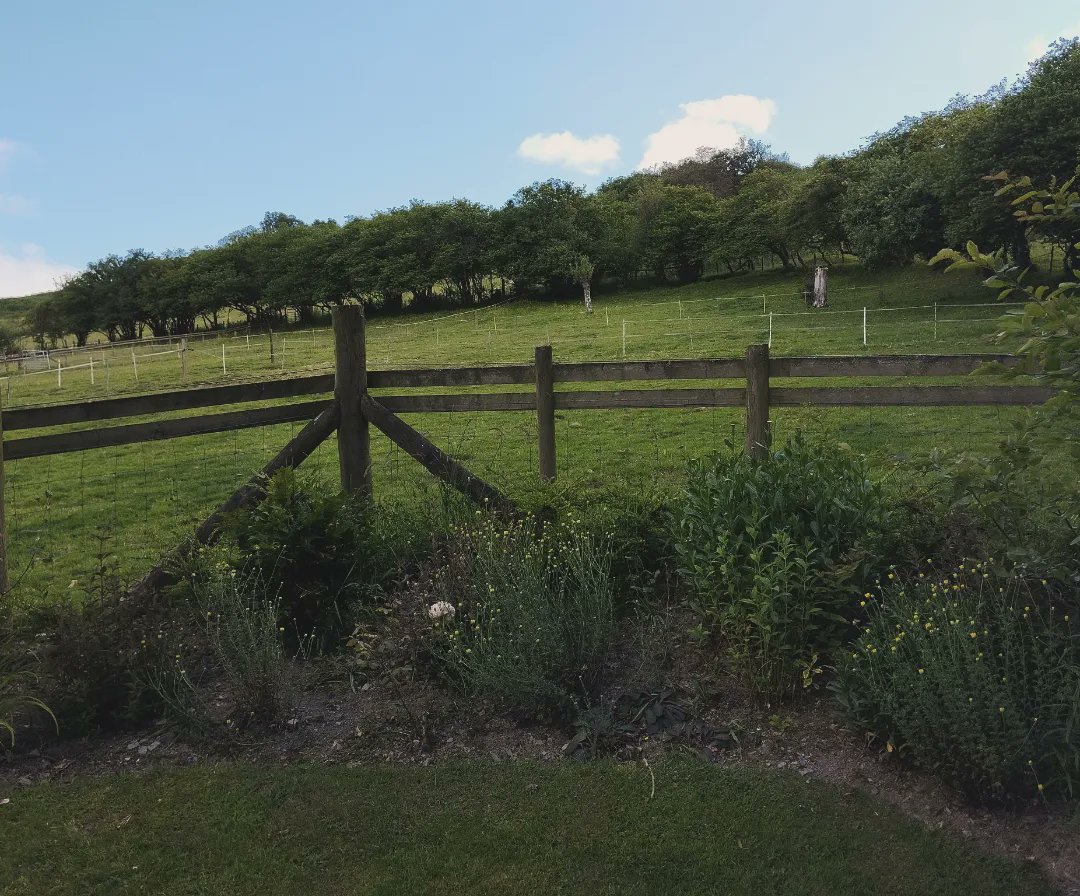 After exhausting myself in almost every bookshop in Hay the next accommodation was glamping, but in a very much off grid kind of way. Absolutely perfect place to rest and recharge the batteries and had the place completely to myself. And some birds. Bliss.