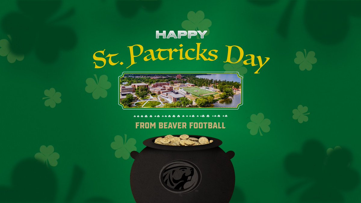 Bemidji State Football tweet media