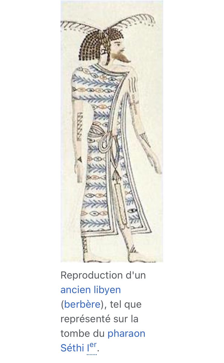 CorIeonee's tweet photo. @Basoubar @Imburningaaaah @SirFroguson Et vous les ex-esclaves qui veulent notre histoire (egypte, moors, juba, hannibal...). Les amazigh sont bien évidement blanc, pas aussi blanc qu'un norvégien ou un allemand mais certainement pas noir comme vous ou encore aussi foncé que les arabes de la péninsule https://t.co/HWQ2VX4V8e