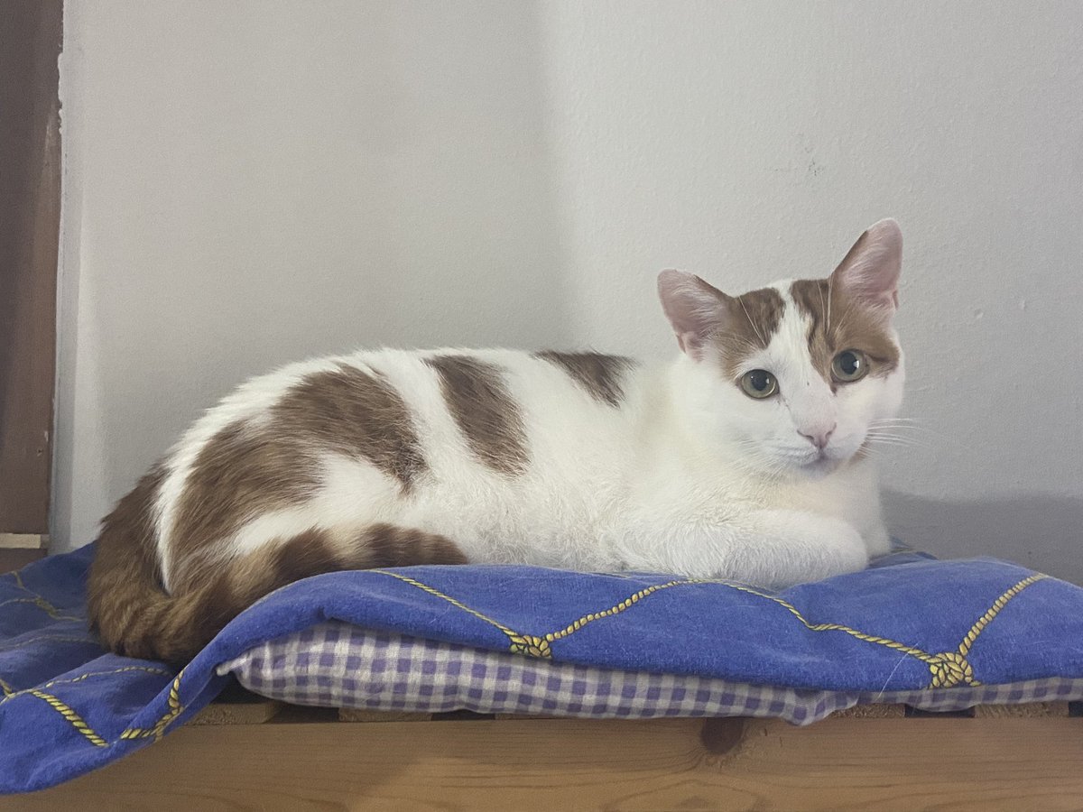 Pov: oda arkadaşın sürekli her şeyden dert yanıyodur ama senin yarın ve sonraki 2 hafta sınavların kaldığın 2 tane stajın ne zaman biteceğini bilmediğin bir okulun ve büte kalma korkun bunlar da yetmezmiş gibi gurbette yarin vardır