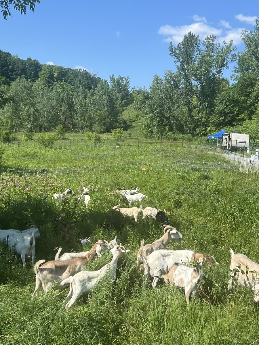 George Bell tweet media