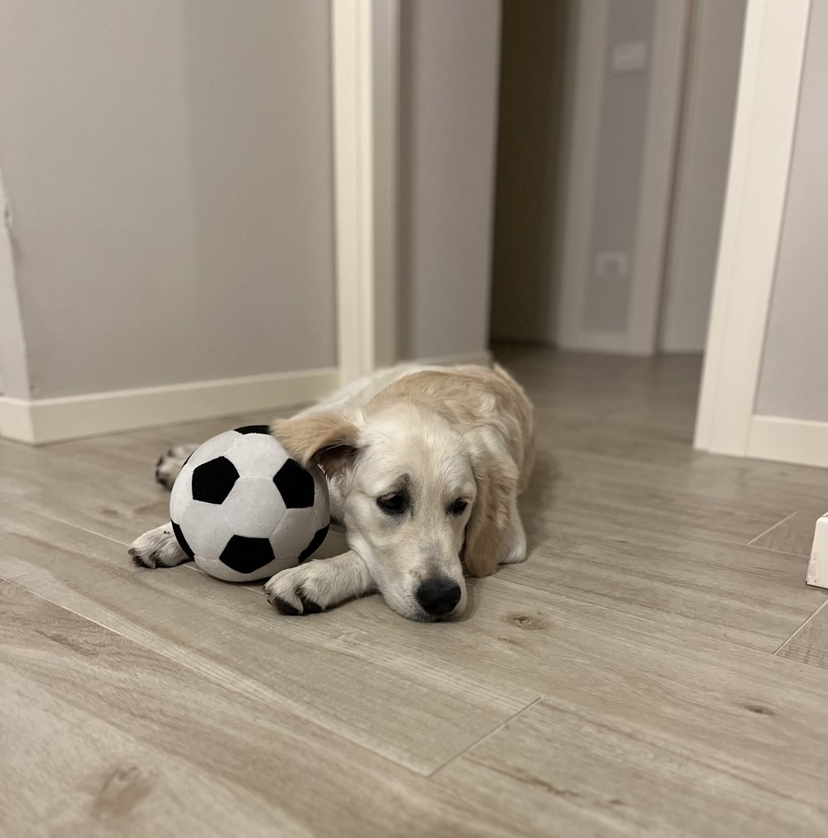 Marta Alberti tweet media