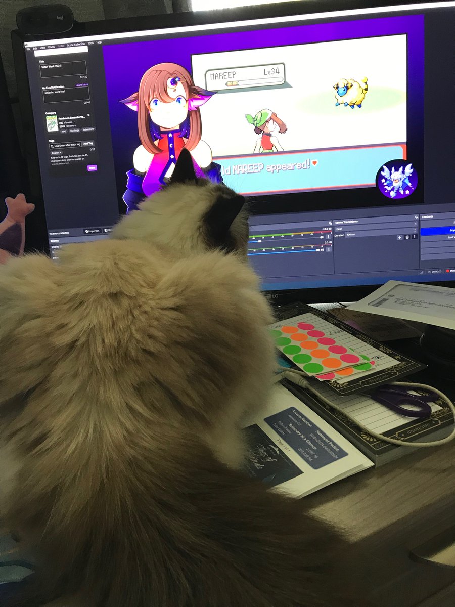 She wants to shiny hunt too 🥹✨