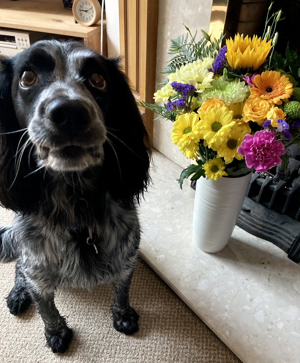 Mandy Malcomson tweet media