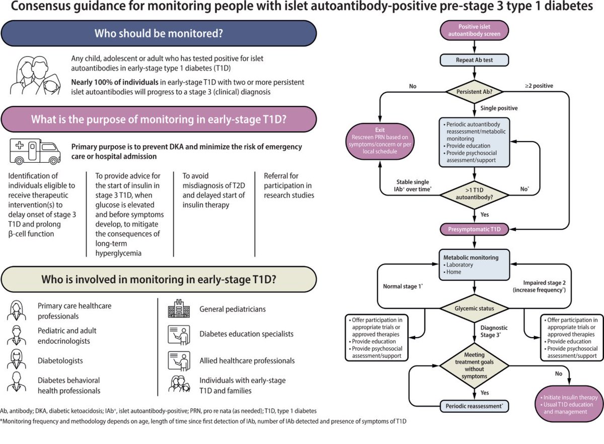 ✍🏻⚠️
Consensus Guidance for Monitoring Individuals With Islet Autoantibody–Positive Pre-Stage 3 Type 1 Diabetes

CONSENSUS REPORT| JUNE 24 2024
Diabetes Care 
<a href="/SEDiabetes/">SED Diabetes</a> <a href="/RosaCorcoy/">Rosa Corcoy 😷 #YoTambienMeVacuno</a> <a href="/diabeteSEEN/">Área Diabetes SEEN</a> <a href="/RosaCasan/">Rosa Casañ Fernandez</a> <a href="/olalla_rubio/">Olr</a> <a href="/RuthSOrtiga/">RSO</a> <a href="/Beatrizvoltas1/">Beatrizvoltas</a> 

diabetesjournals.org/care/article/d…