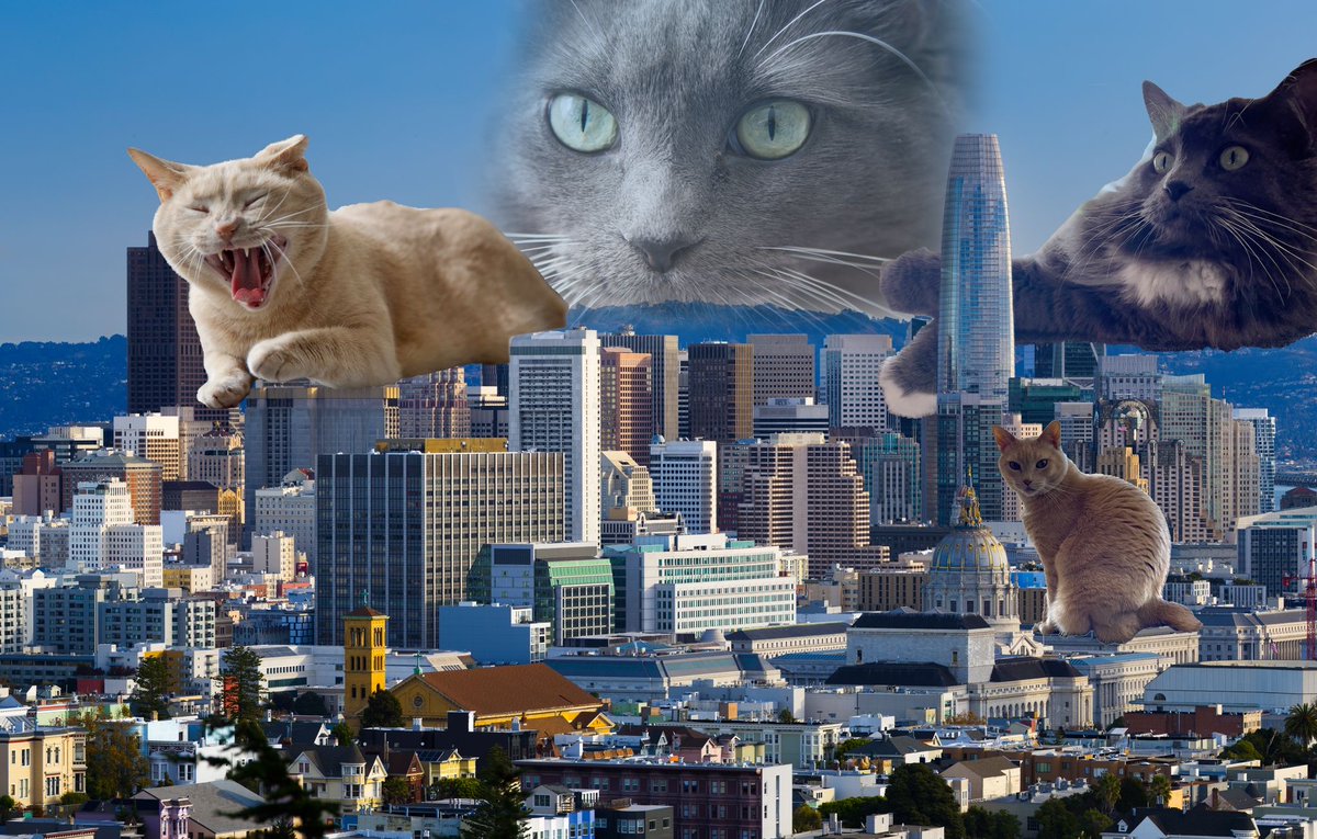 SF_emergency's tweet photo. #SF are your emergency kits ready and evacuation plans mapped out? It's #CatWorldDominationDay so be prepared for anything.
If you are not ready get ready at https://t.co/LQmOSt75C8
😼
#SF72 https://t.co/4RRA4Gbxle