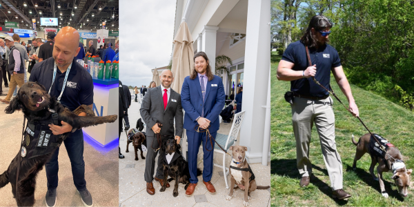 MtlCoffeeShop's tweet image. Helping veterans one paw at a time 
metalcoffeeshop.com/post/helping-v… 

#Beacon #TRIBUILT #MetalCoffeeShop #MetalRoofing #MetalConstructionIndustry #MetalConstruction #MetalIndustry #RoofersCoffeeShop