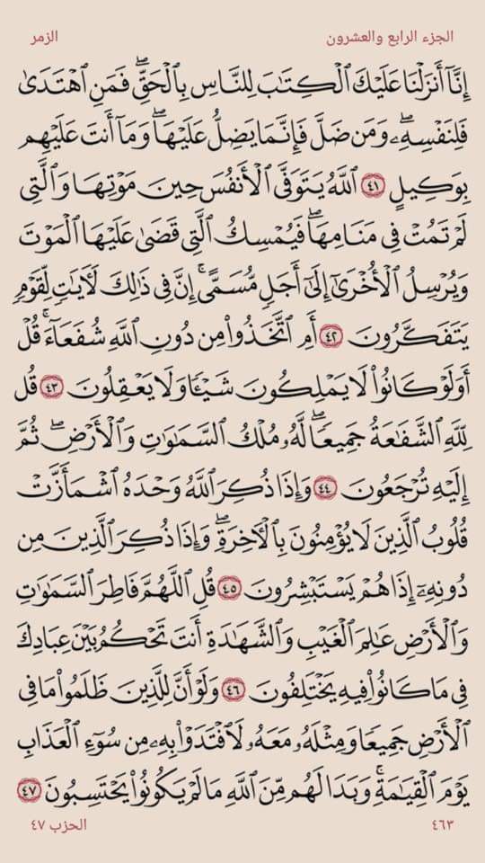riyadelgbaeelly's tweet photo. وَإِذَا ذُكِرَ اللَّهُ وَحْدَهُ اشْمَأَزَّتْ قُلُوبُ الَّذِينَ لَا يُؤْمِنُونَ بِالْآخِرَةِ وَإِذَا ذُكِرَ الَّذِينَ مِن دُونِهِ إِذَا هُمْ يَسْتَبْشِرُون}َ https://t.co/Ru4QjzCk1g