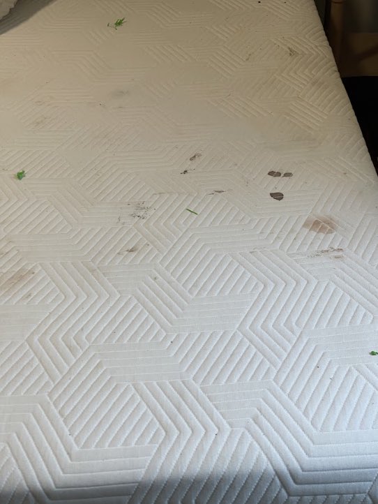 MJTraderPro's tweet image. $7000+ Airbnb Claim submitted @AirbnbHelp @Airbnb on April 20th, 2024. 

Hasn’t even been acknowledged by Airbnb. 

Guest completely trashed my home. 

Broke my couch, stained my mattress , ruined my flooring, and smoked inside. 

I had to buy all new furniture &amp;amp; flooring myself