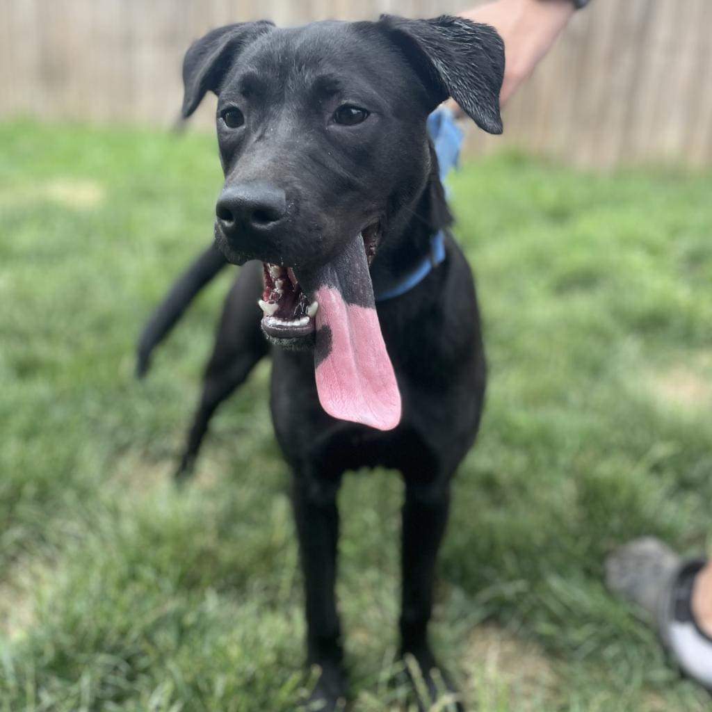 Furry Friends Refuge tweet media