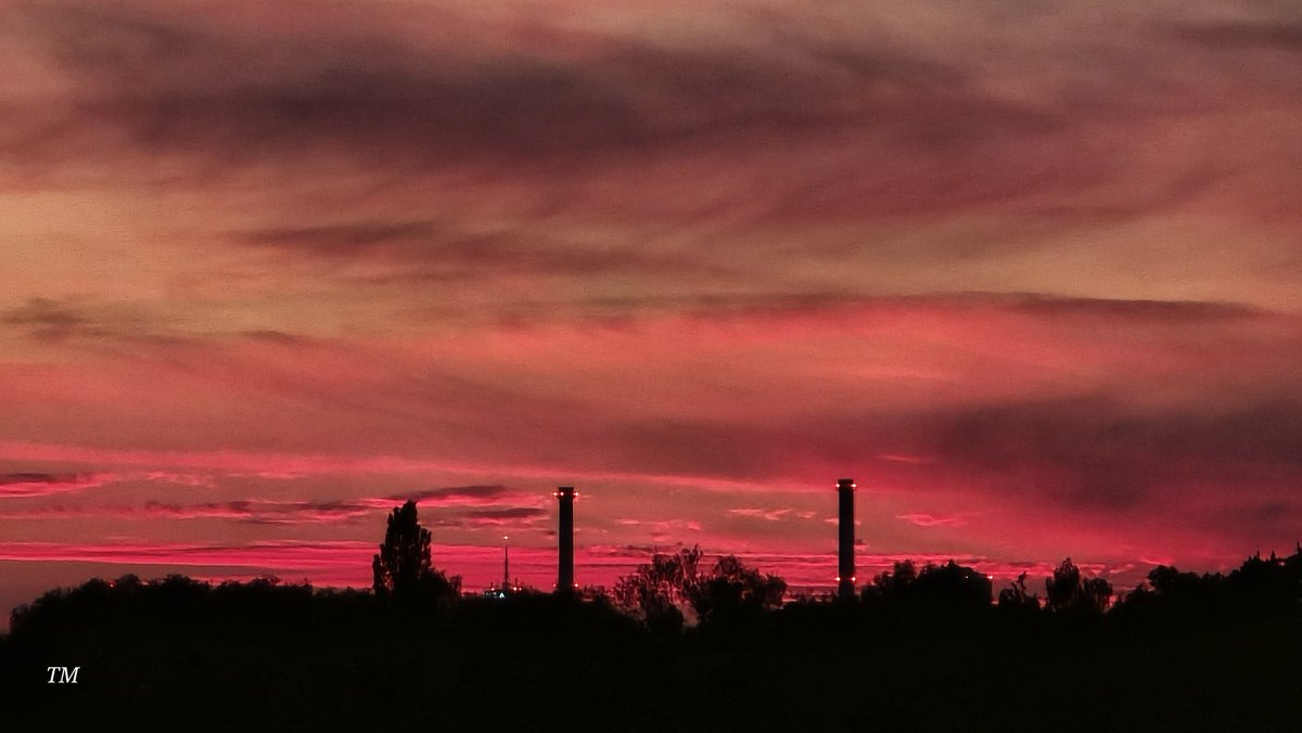 Tadek_8's tweet image. Na horyzoncie #Szczecin #jerzyk #Bird