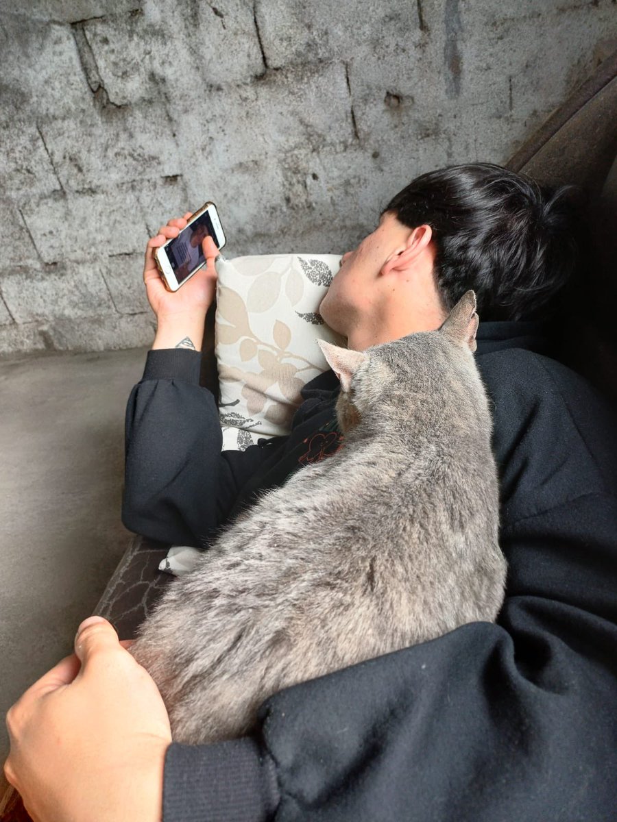 🐈‍⬛🐈‍⬛