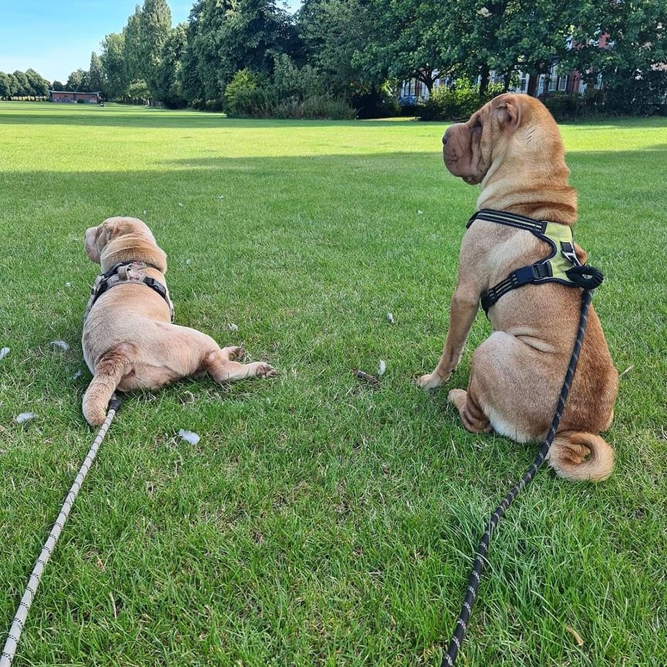 Enjoying the sunshine while it lasts.