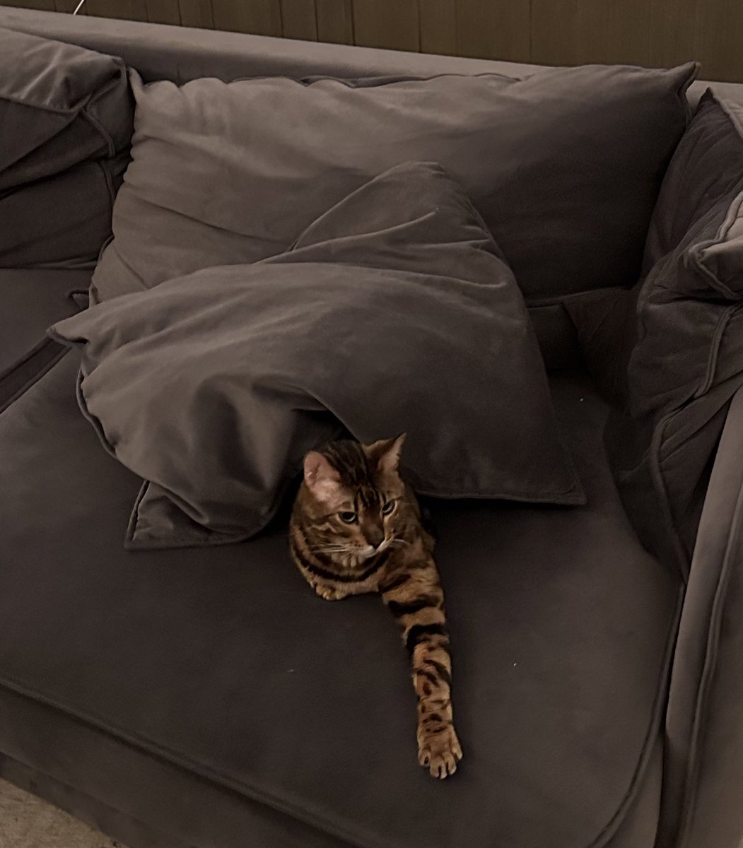 Ганна tweet media