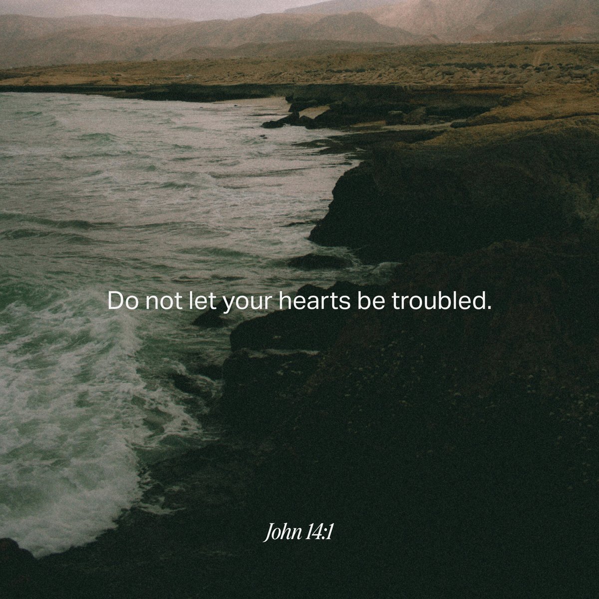 YouVersion Bible App tweet media
