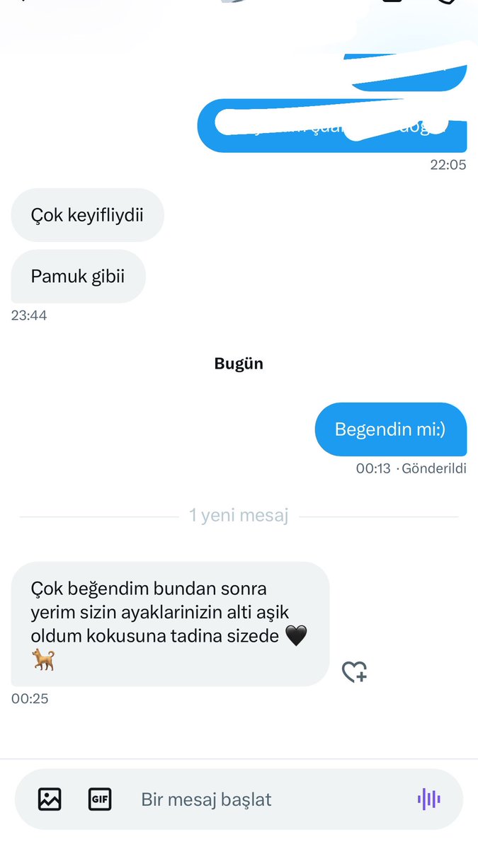 Reel Seans sonrası böyle mesajlara bayılıyorum köpeklerim🦮🦮