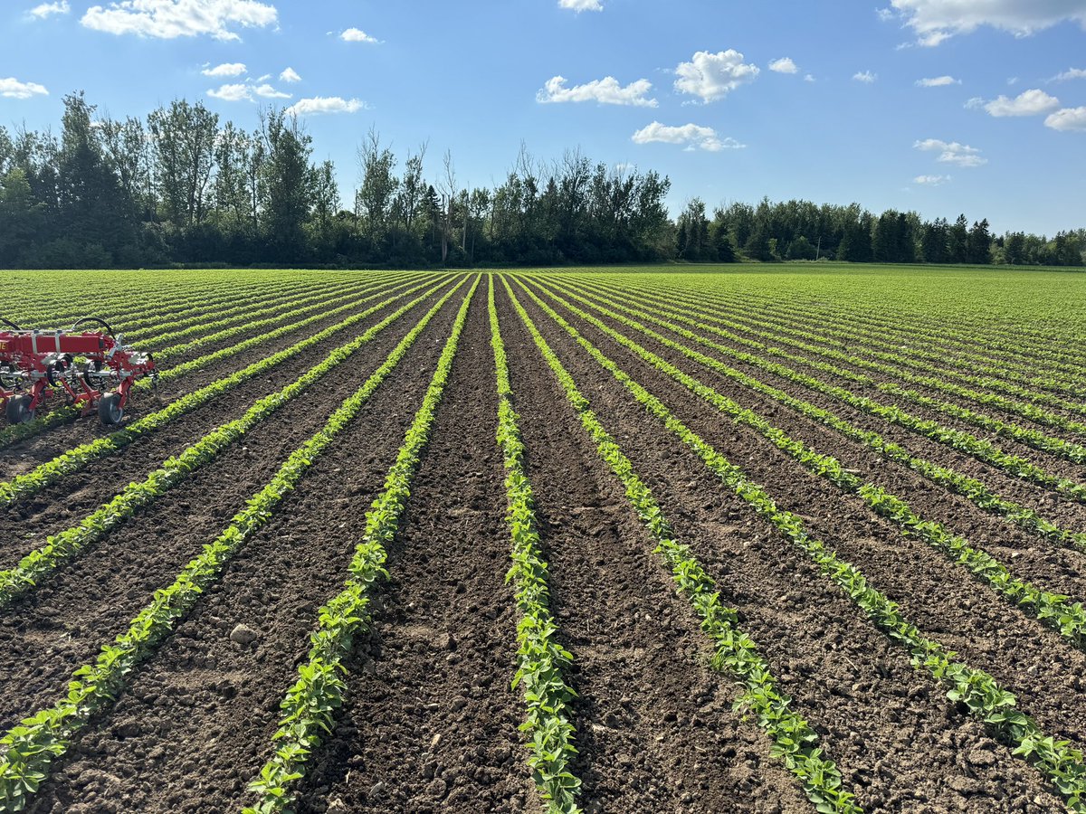 Brett Israel tweet media