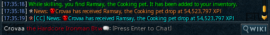 Crovaa_hcim's tweet photo. Cooking pet at 54.5M xp ! 15/19 https://t.co/YuYqrVPasi