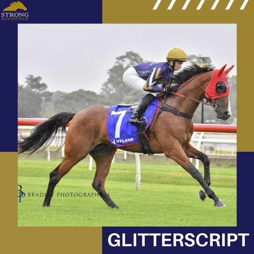 StrongBldStock's tweet photo. ✌️ We have 2 last-start placegetters in action on their home track @hawkesburyrc

✨ 📽️ GLITTERSCRIPT looks to end a run of seconds when she steps up to 1400m in the opener
👾 Stablemate INVADE AND CONQUER has also been building towards a 1st win

Good luck to all our partners 💪 https://t.co/WFnhs4UWYz