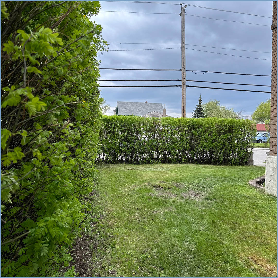 Calgary John Howard Society tweet media