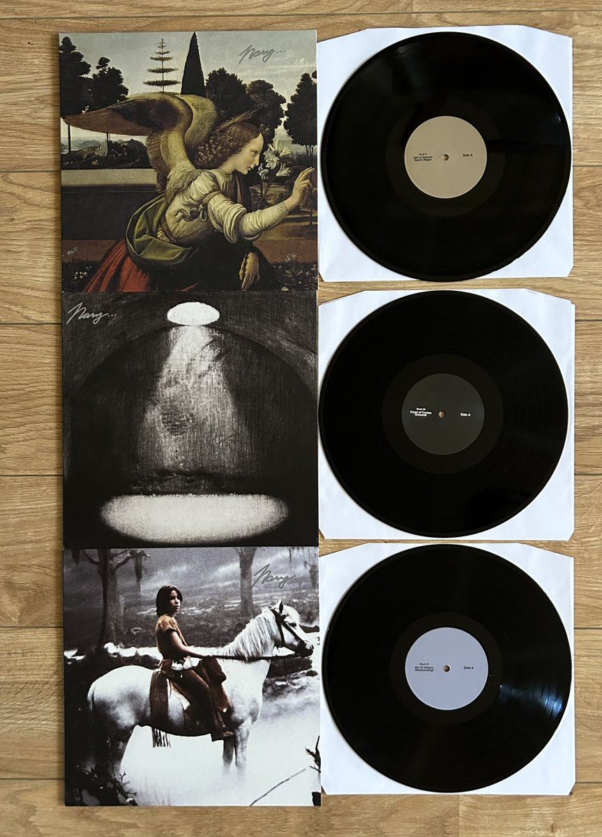 itz_jacketman's tweet image. My Navy Blue record collection now that my Song of Sage quadrillogy is complete
All signed except Half God