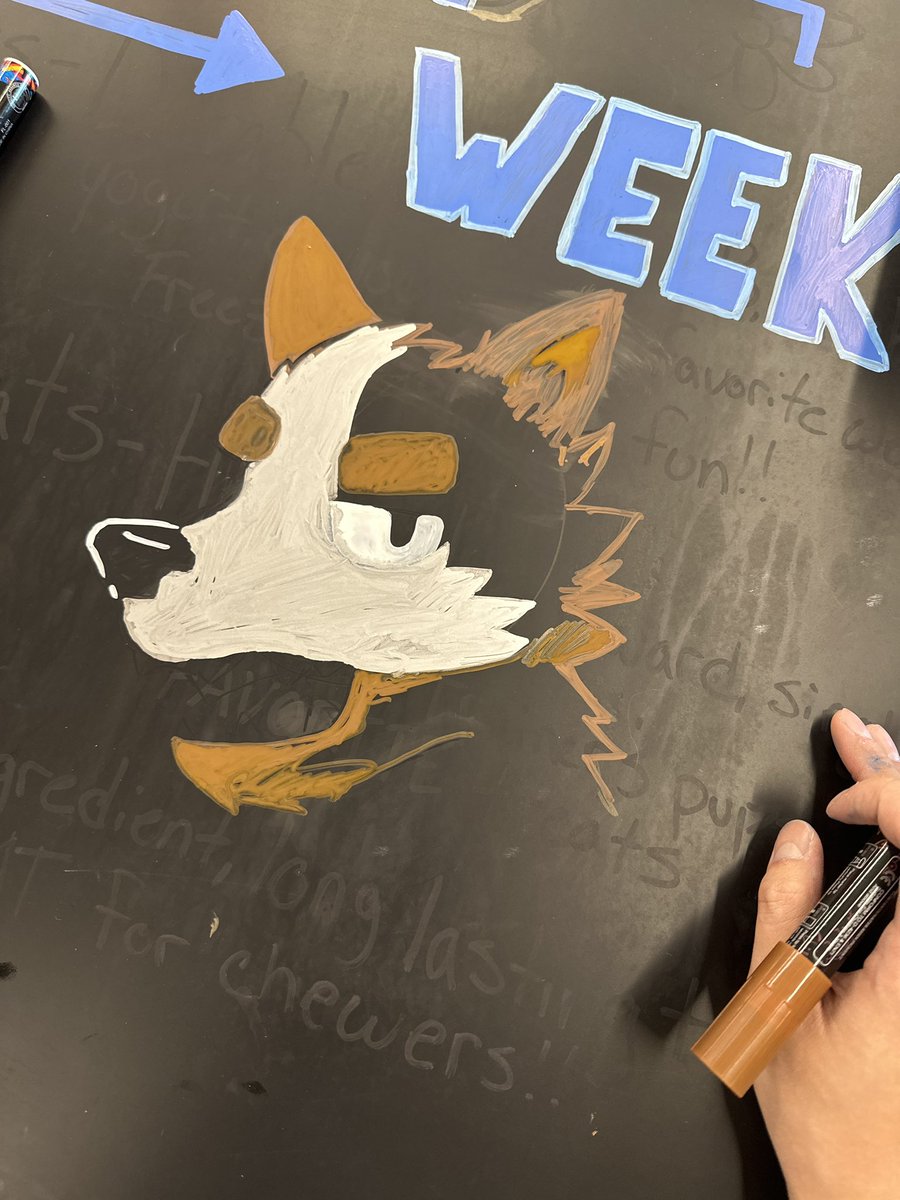 they asked me to design the store sign for national adoption week, never ask a furry to draw animals for you