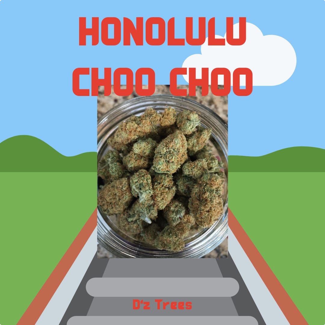 All Aboard the Honolulu Choo Choo Train 🚂 Delicious flavors of sweet, ammonia, pungent, and earthy goodness! It helps with the most relaxing, euphoric, and amazing sensations. 
Crosses: Maui Wowie x Trainwreck 
By D'z Trees
⚠️For Education purposes only 21+ Nothing is for sale⚠️