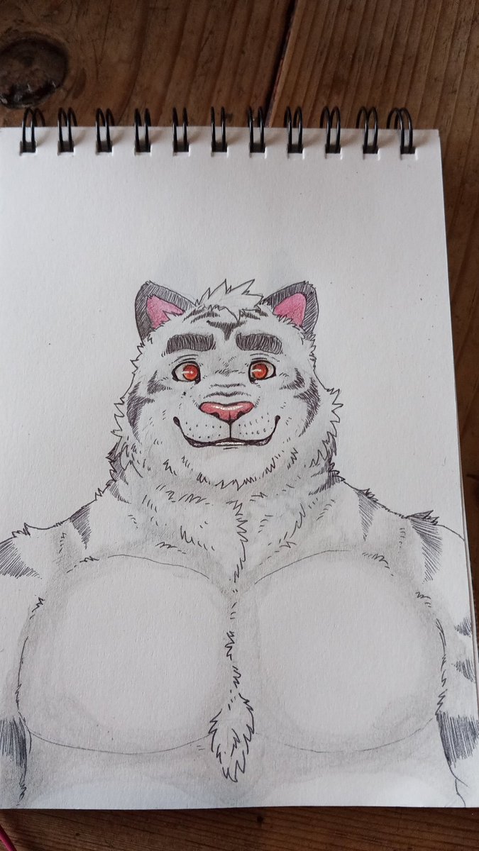 Lonebearnard's tweet image. A drawing I'm doing for a beautiful Tigrote that I love very much &amp;lt;3