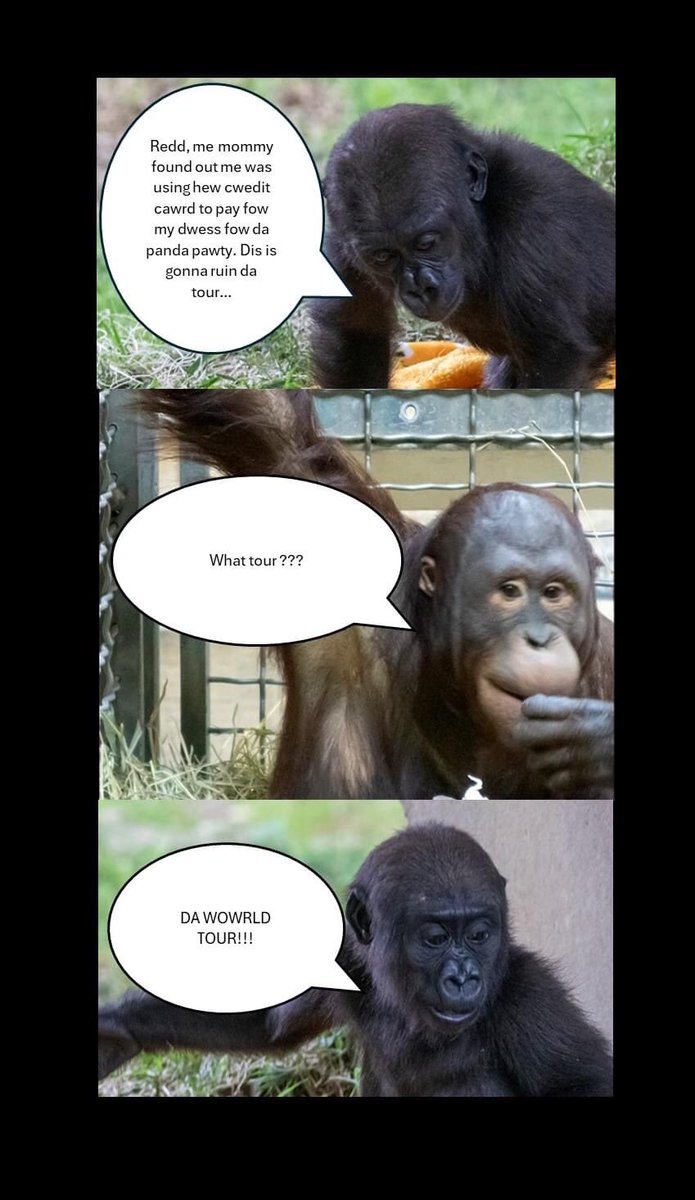 Famous Babies Club (@famousbabiesc) on Twitter photo Ohhh nooo Miss Zahra… <a href="/OrangutanRedd/">Redd O’rangutan</a> <a href="/MokeGorilla/">Moke</a> <a href="/pinkypanda0823/">Princess Pinky 1st of Her Name & Mother of Pandas</a> <a href="/BeiBeiPanda3/">Bei Bei Panda</a> @YuanMengPanda (owiginal pics by auntie Mewy and unka Allen) Ohhh nooo Miss Zahra… <a href="/OrangutanRedd/">Redd O’rangutan</a> <a href="/MokeGorilla/">Moke</a> <a href="/pinkypanda0823/">Princess Pinky 1st of Her Name & Mother of Pandas</a> <a href="/BeiBeiPanda3/">Bei Bei Panda</a> @YuanMengPanda (owiginal pics by auntie Mewy and unka Allen)