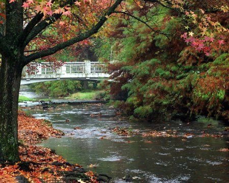 LarryInMissouri's tweet image. Play something for the boys from Oklahoma 🌠…..#Tahlequah 🫡