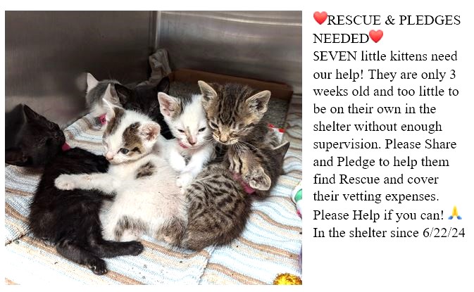 Renee' Martin tweet media