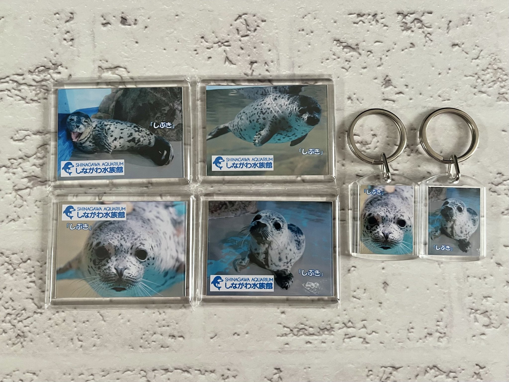 GQ42PV8b0AATs0S.jpg:large