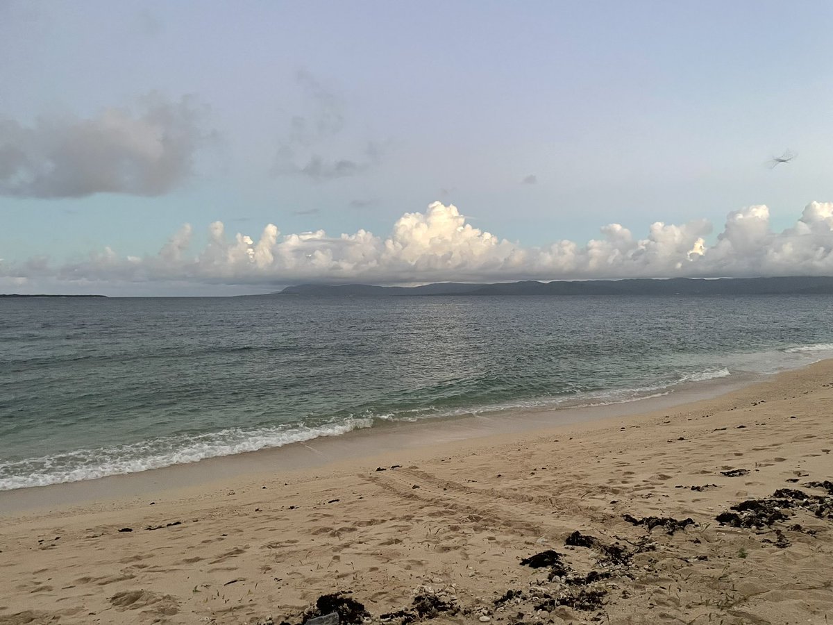 今朝は東京から来た研修生とウミガメの産卵を観察してました。4時ごろに上陸したので海終わる頃には周りが明るくなってました。

関係ない話ですが、池があればサメぐらいいますよね。
