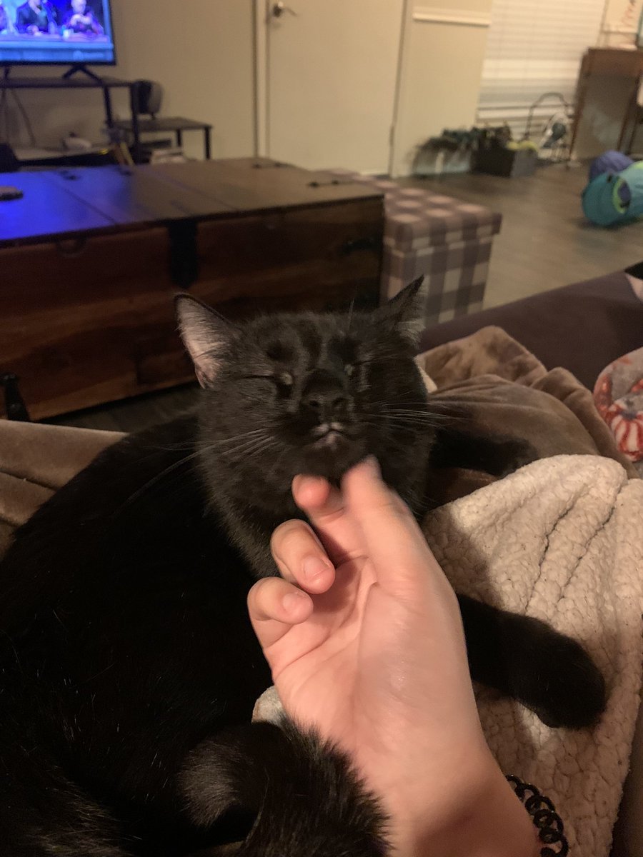 HappyClaycamper's tweet photo. Would you just look at him? https://t.co/0XJC11yOs3